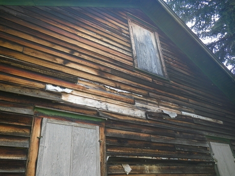 The bees are nesting within this wall, where the siding is missing.