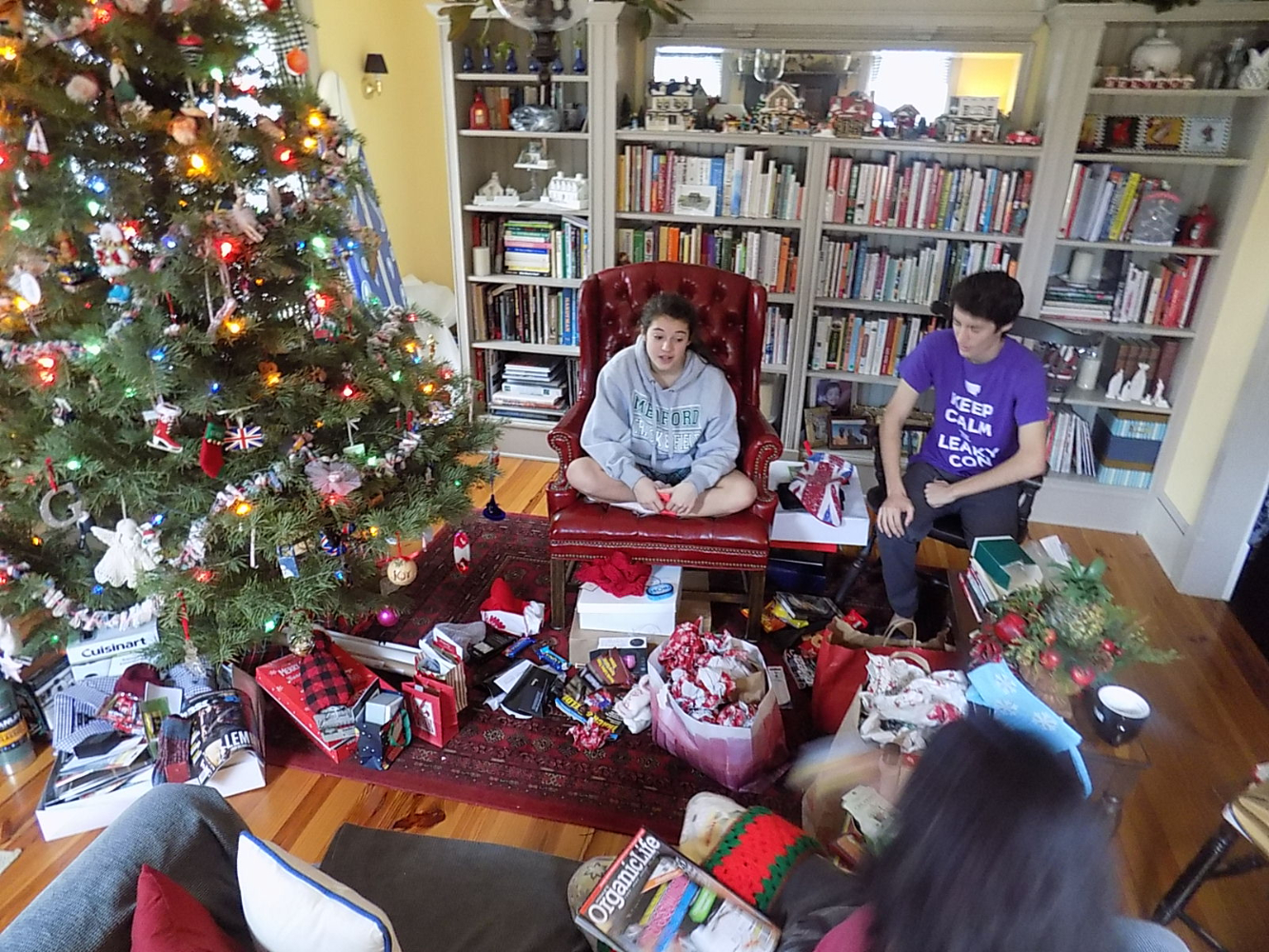Christmas Morning in the Study