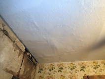 izr_TG50192 (2) ceiling before