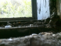 rotted cellar window sill