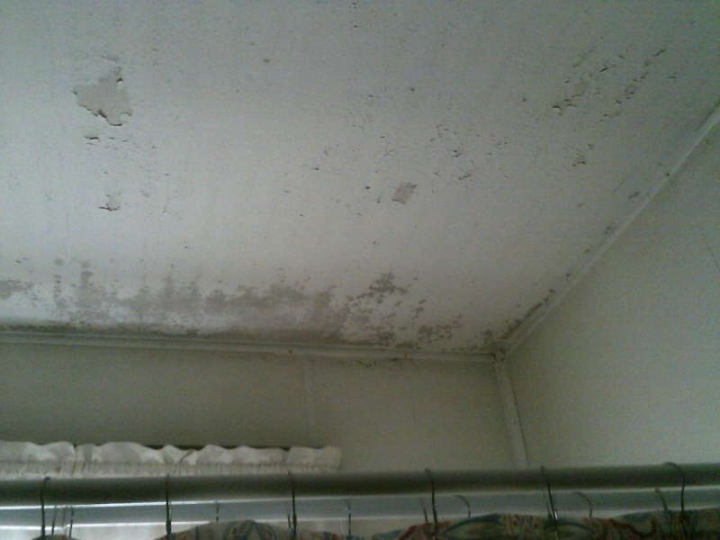 bath ceiling